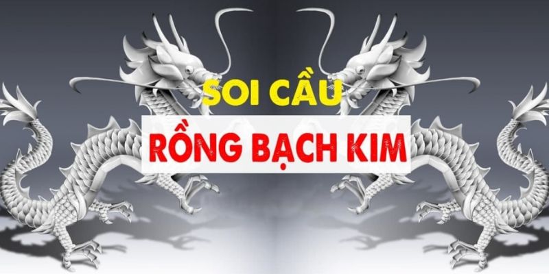 Các lợi ích khi soi cầu rồng bạch kim