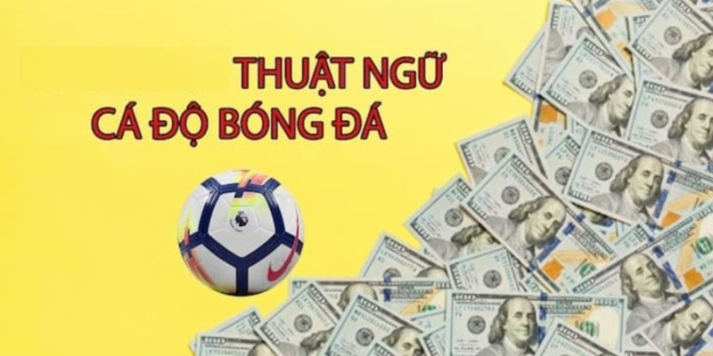 Tìm hiểu các thuật ngữ cá độ bóng đá 2024